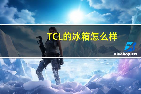 TCL的冰箱怎么样