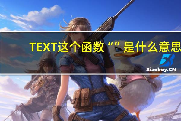TEXT这个函数“”是什么意思