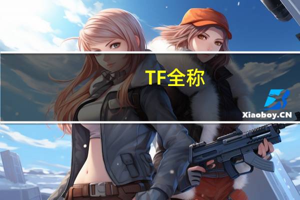 TF全称