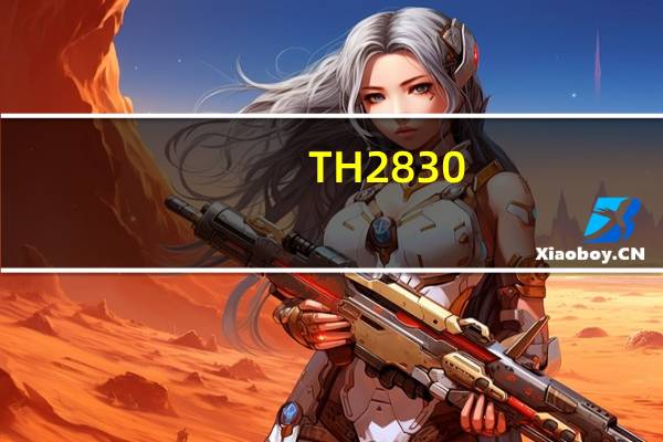 TH2830（t328wrom）