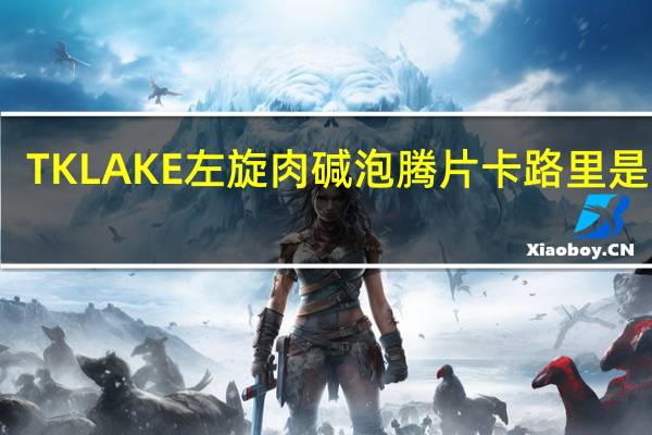 TK LAKE 左旋肉碱泡腾片卡路里是多少