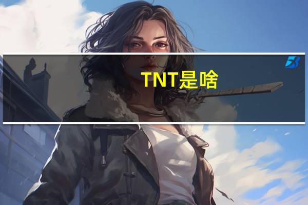 TNT是啥