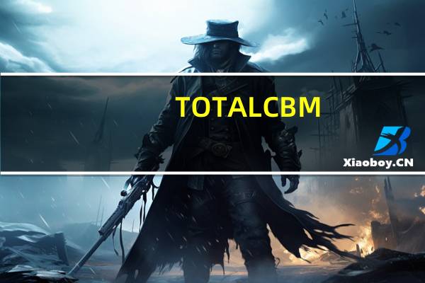TOTAL CBM（total CBM是什么意思）