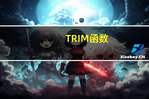TRIM函数