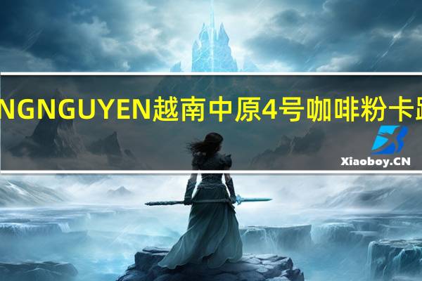 TRUNG NGUYEN 越南中原4号咖啡粉卡路里是多少