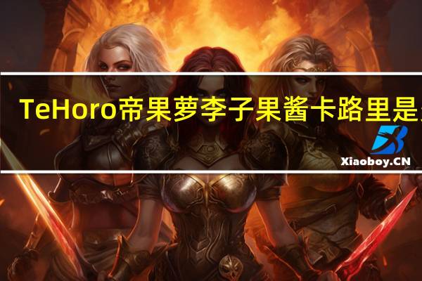 Te Horo 帝果萝 李子果酱卡路里是多少