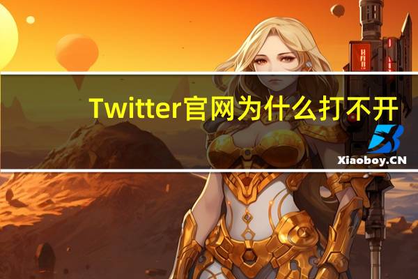Twitter官网为什么打不开?