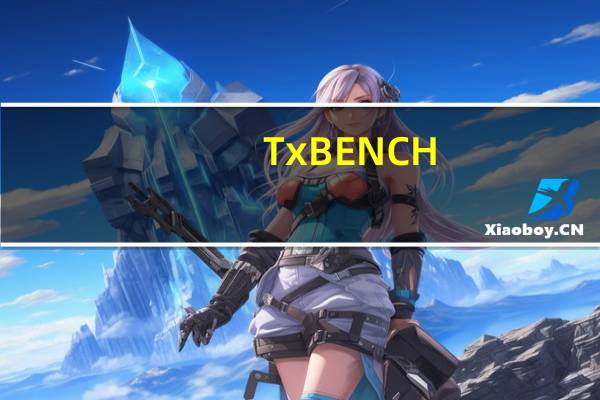 TxBENCH(固态硬盘性能测试工具) V0.95 官方版(TxBENCH(固态硬盘性能测试工具) V0.95 官方版功能简介)