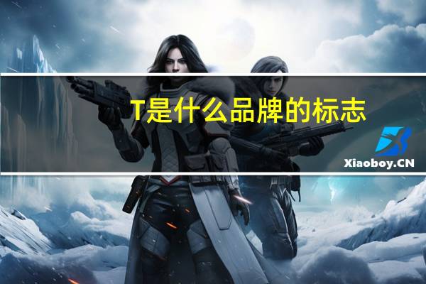 T是什么品牌的标志