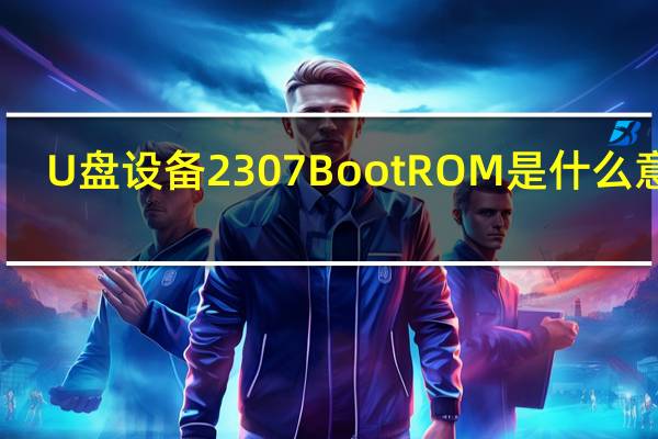 U盘设备2307 Boot ROM 是什么意思