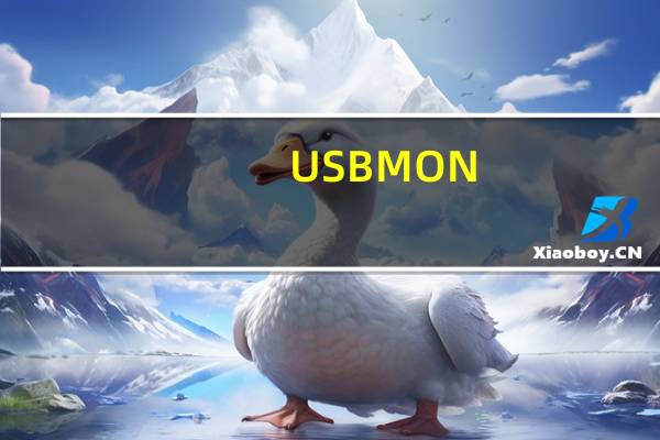 USBMON(U盘解除写保护工具) V4.0 官方版(USBMON(U盘解除写保护工具) V4.0 官方版功能简介)