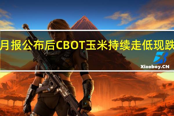 USDA月报公布后CBOT玉米持续走低现跌超2%报475.00美分/蒲式耳CBOT小麦持续走高跌幅缩窄至0.51%此前一度跌超2%