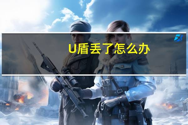 U盾丢了怎么办