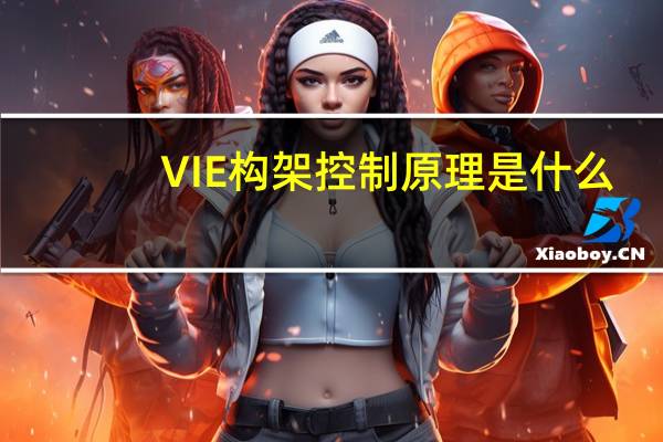 VIE构架控制原理是什么