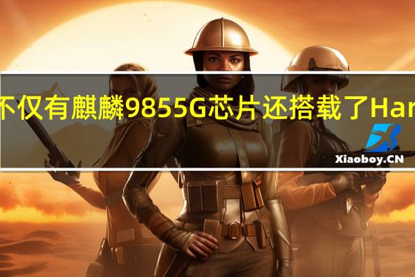 VIKKK19Pro不仅有麒麟9855G芯片还搭载了HarmonyOS2操作系统