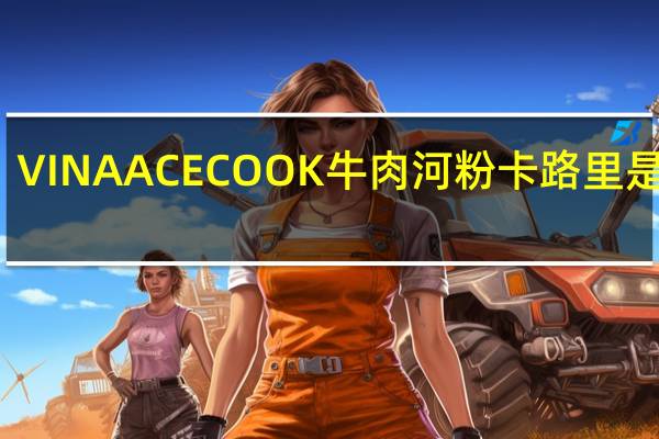 VINA ACECOOK 牛肉河粉卡路里是多少
