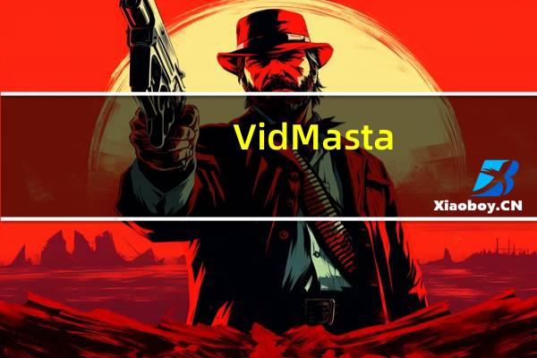 VidMasta(网络视频下载软件) V26.0 官方版(VidMasta(网络视频下载软件) V26.0 官方版功能简介)