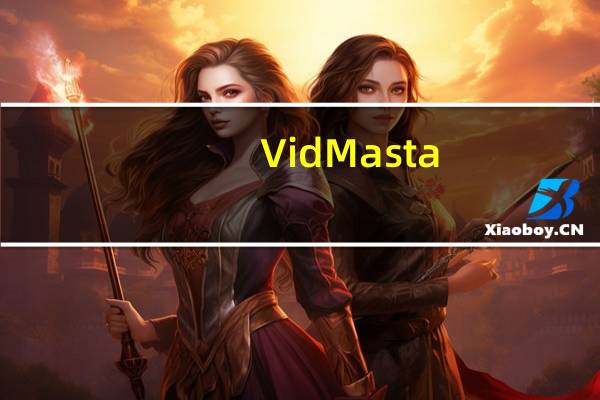 VidMasta(网络视频下载软件) V26.0 官方版（VidMasta(网络视频下载软件) V26.0 官方版功能简介）