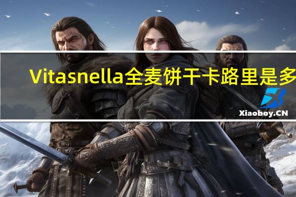 Vitasnella 全麦饼干卡路里是多少