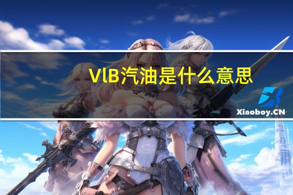 VlB汽油是什么意思