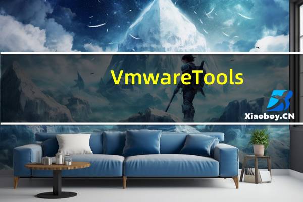 Vmware Tools(虚拟机增强) V12.5 官方版（Vmware Tools(虚拟机增强) V12.5 官方版功能简介）