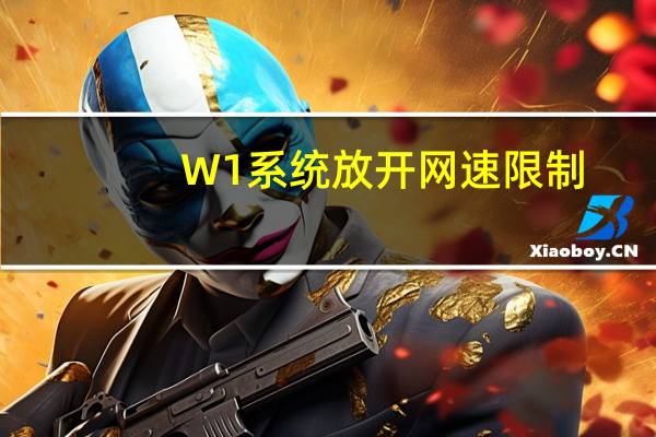 W1系统放开网速限制