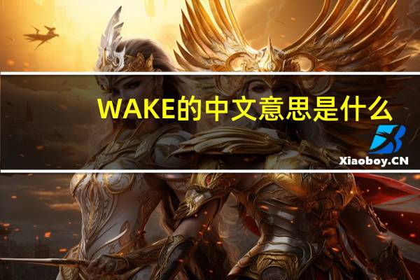 WAKE的中文意思是什么