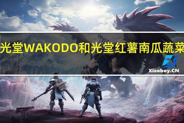 WAKODO和光堂 WAKODO 和光堂 红薯南瓜蔬菜杂煮卡路里是多少