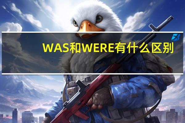 WAS和WERE有什么区别