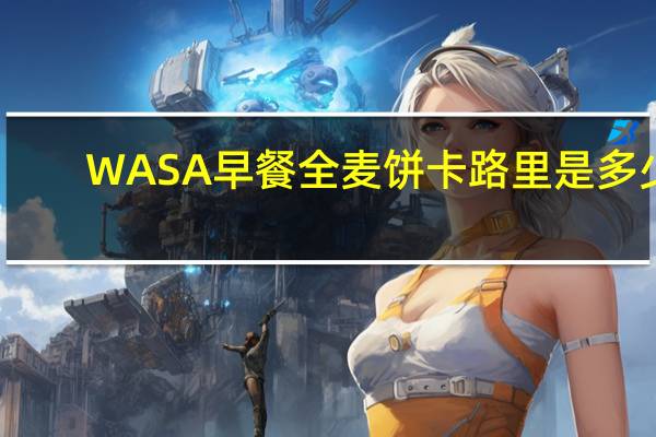 WASA 早餐全麦饼卡路里是多少