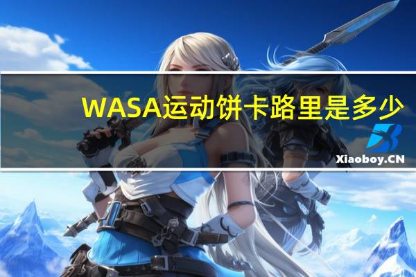 WASA 运动饼卡路里是多少