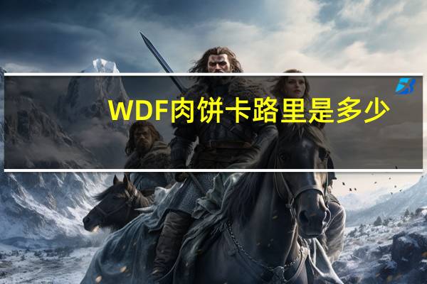 WDF 肉饼卡路里是多少
