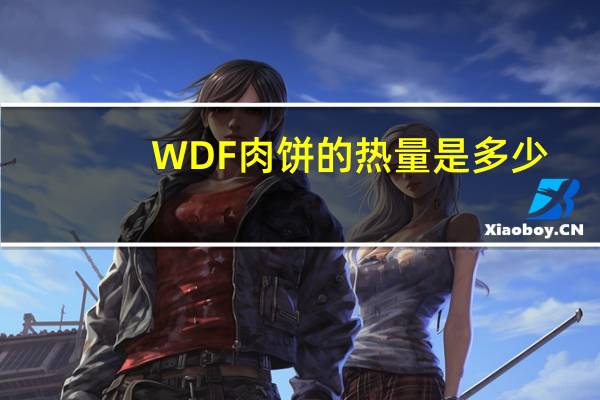 WDF 肉饼的热量是多少