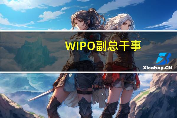 WIPO副总干事：知识产权等无形资产约占全球商业价值的90%