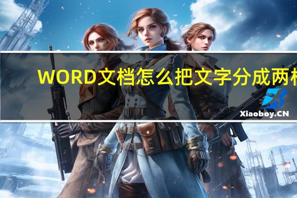 WORD文档怎么把文字分成两栏