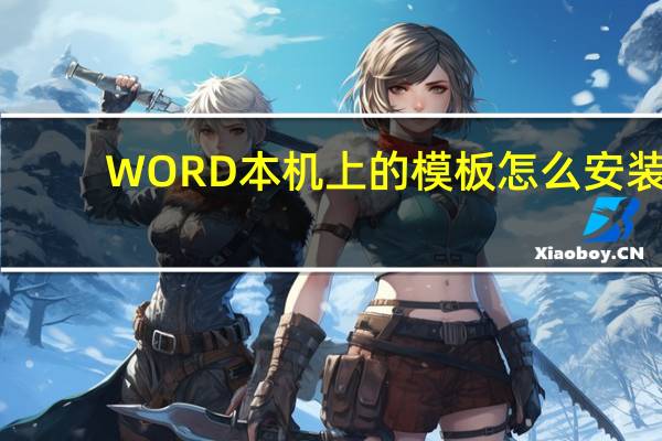 WORD本机上的模板怎么安装