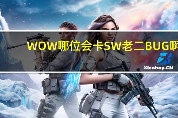 WOW哪位会卡SW老二BUG啊