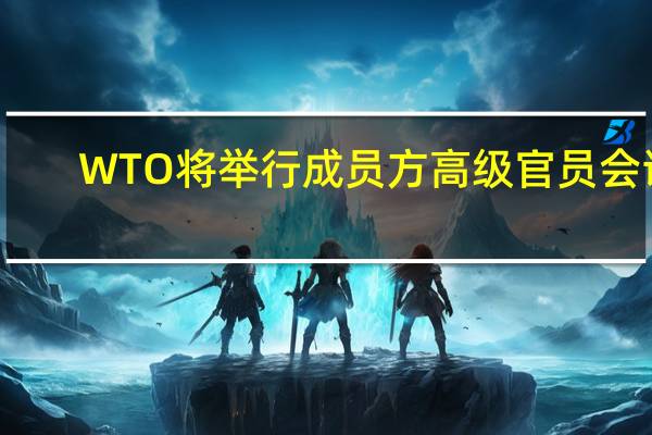 WTO将举行成员方高级官员会议