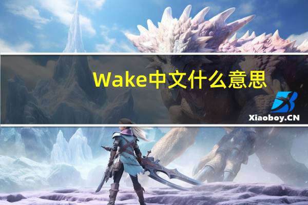 Wake中文什么意思