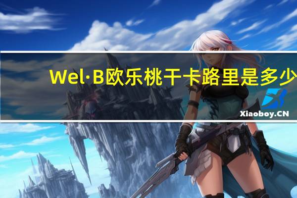 Wel·B 欧乐桃干卡路里是多少