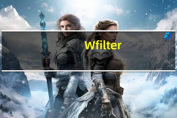 Wfilter(超级嗅探狗) V4.1.293 破解版（Wfilter(超级嗅探狗) V4.1.293 破解版功能简介）