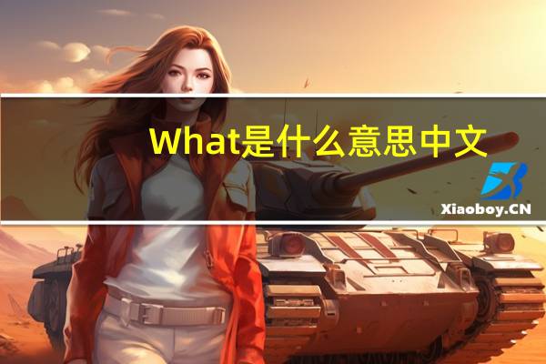 What是什么意思中文