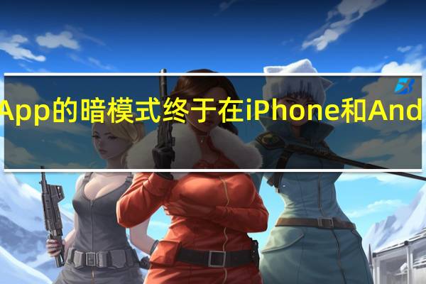 WhatsApp的暗模式终于在iPhone和Android上发布了