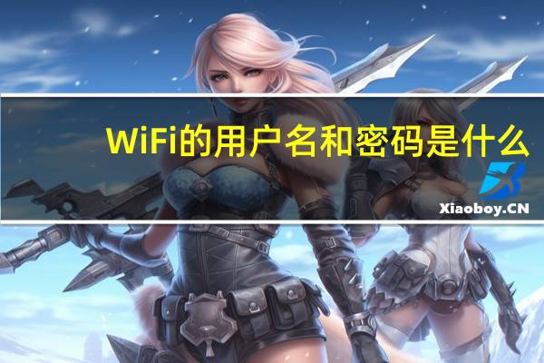 WiFi的用户名和密码是什么