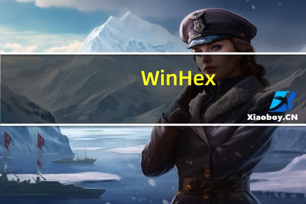WinHex(16进制编辑软件) V19.9 官方最新版(WinHex(16进制编辑软件) V19.9 官方最新版功能简介)