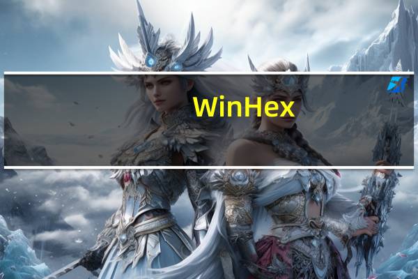 WinHex(16进制编辑软件) V19.9 官方最新版（WinHex(16进制编辑软件) V19.9 官方最新版功能简介）