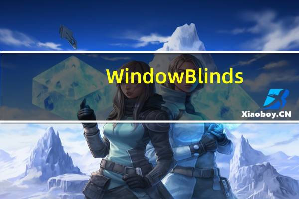 WindowBlinds(Windows系统美化) V10.84 官方版(WindowBlinds(Windows系统美化) V10.84 官方版功能简介)