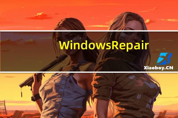 Windows Repair(电脑系统修复工具) V4.13.1 英文免费版(Windows Repair(电脑系统修复工具) V4.13.1 英文免费版功能简介)