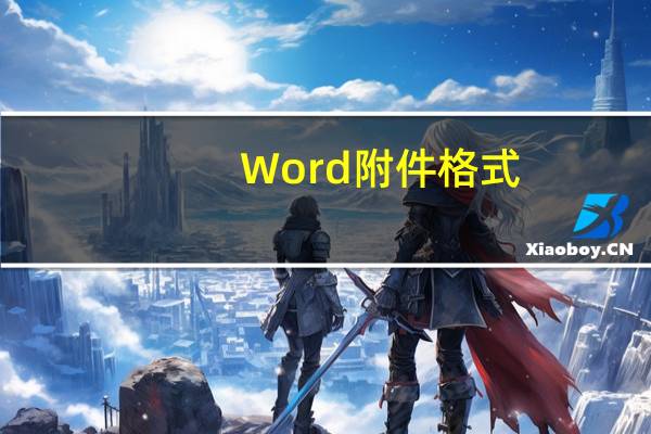 Word附件格式