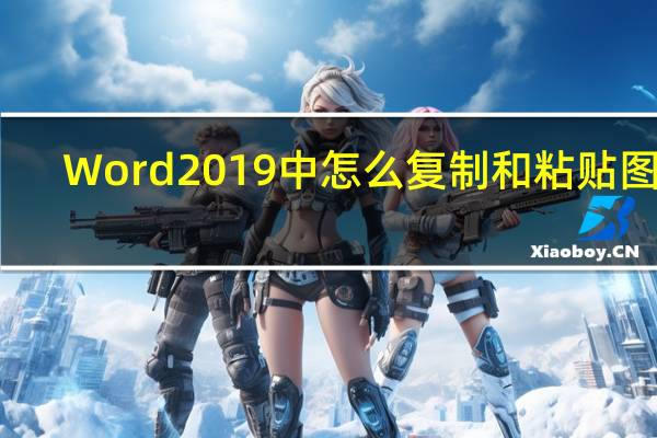 Word 2019中怎么复制和粘贴图像